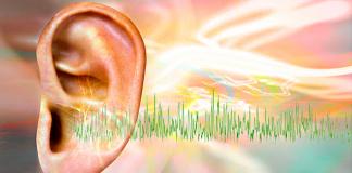 El Tinnitus y el oído
