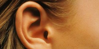 capacidad auditiva
