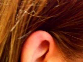 La forma de las orejas y la audición